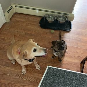 Meet your Posher, Ben